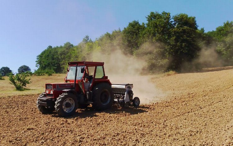 İzmit’te silajlık tohumlar toprakla buluştu