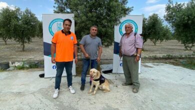 Manisa’da ‘Üzüm’ çiftçinin can yoldaşı olacak