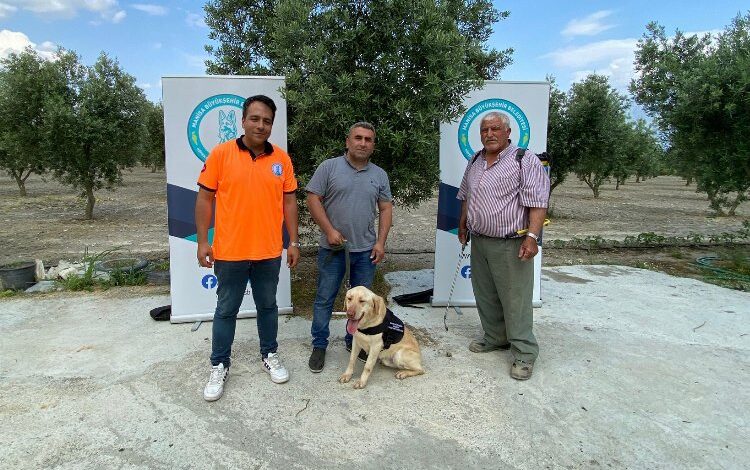 Manisa’da ‘Üzüm’ çiftçinin can yoldaşı olacak