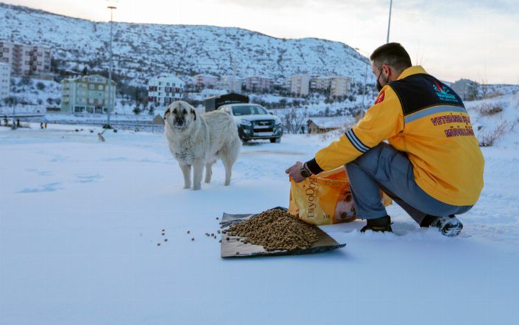 Nevşehir’de can dostlar unutulmadı Nevşehir’de can dostlar unutulmadı