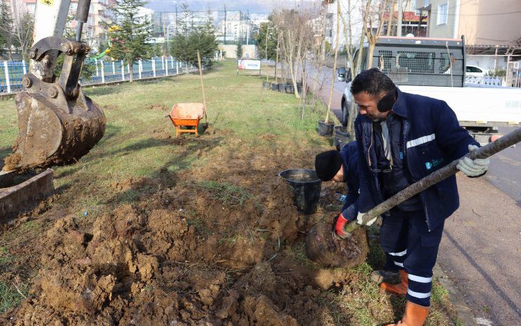 Kocaeli İzmit Yeşilova Mahallesi’nde bitkilendirme çalışması