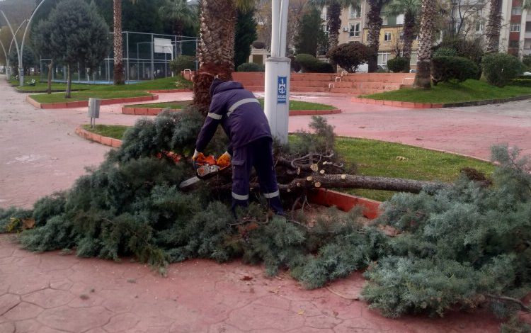 Kocaeli’nde zarar gören ağaçlar budandı