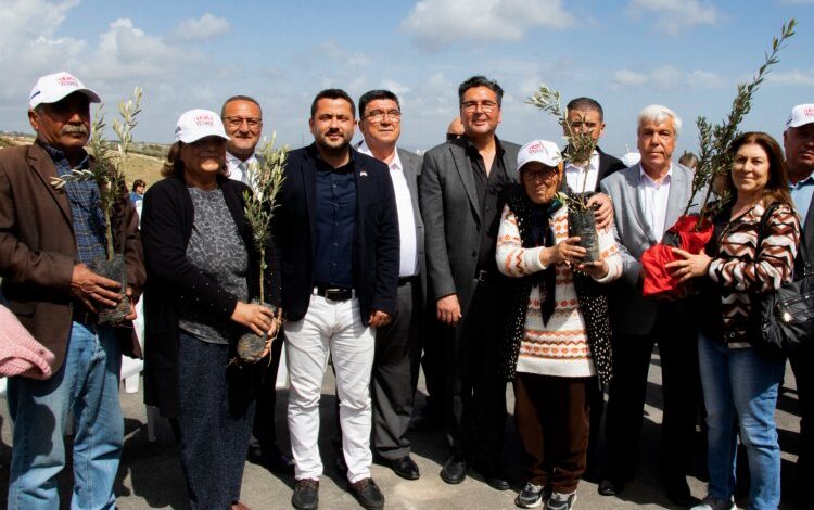 Üreticiye zeytin fidanı desteği Üreticiye zeytin fidanı desteği