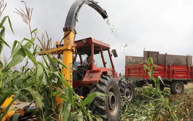 Kocaeli’de İzmit öz gücüyle hem tasarruf, hem de destek sağlıyor Kocaeli’de İzmit öz gücüyle hem tasarruf, hem de destek sağlıyor