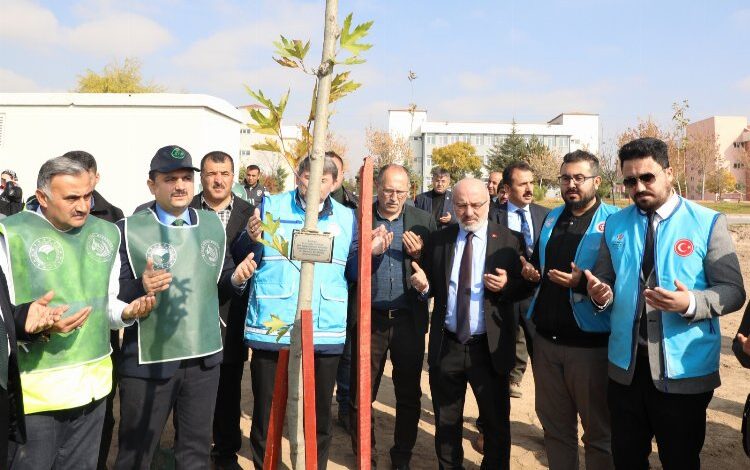 Kayseri yeşile bürünecek Kayseri yeşile bürünecek