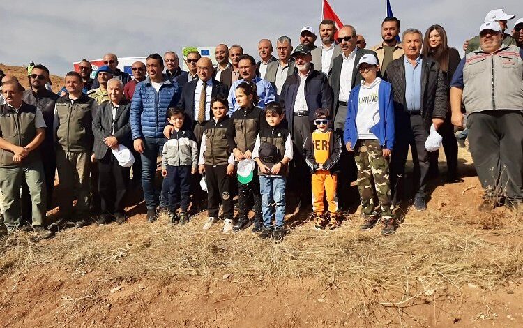 Yamula yemyeşil olacak!