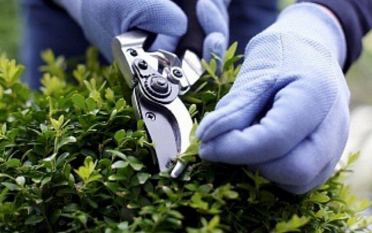 TÜİK son verileri açıkladı… Hizmet sektöründe ‘Peyzaj’ revaçta TÜİK son verileri açıkladı… Hizmet sektöründe ‘Peyzaj’ revaçta