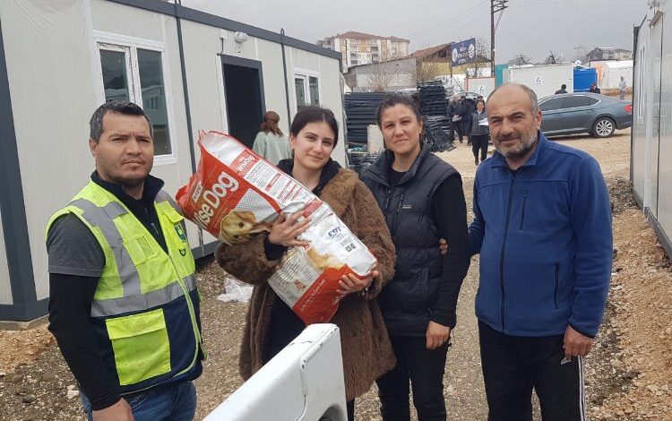 Bodrum dayanışması