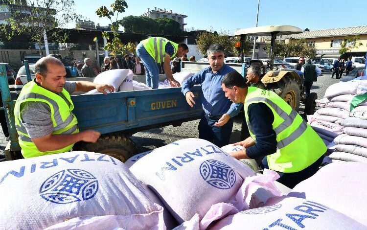 Ata tohumu karakılçık buğdayı Ege’de yeniden canlanıyor