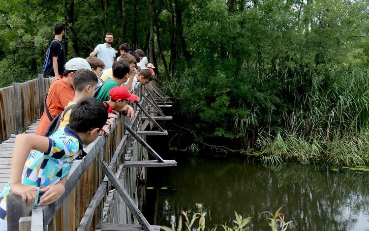 Sakarya’da 120 genç doğaya yakın temas kurdu Sakarya’da 120 genç doğaya yakın temas kurdu