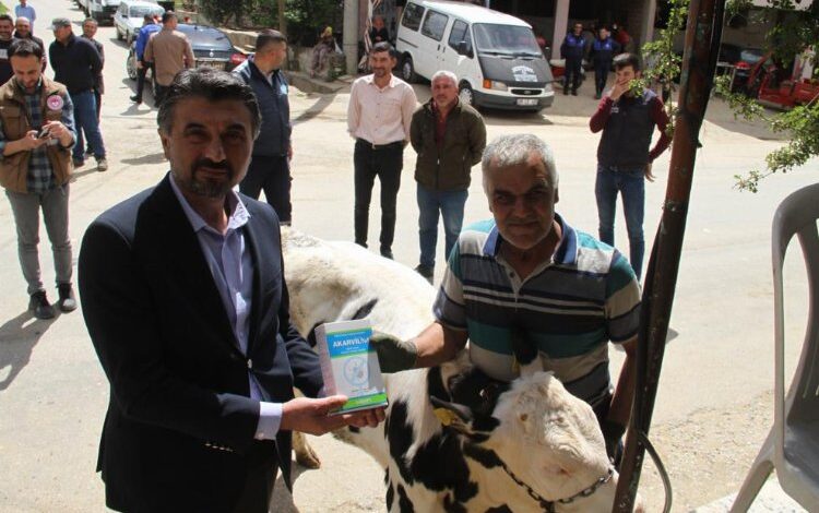 Sarıgöllü hayvan üreticilerine antiparaziter preparat desteği