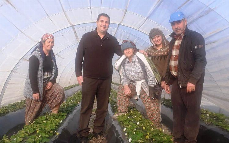 CHP’li Tezcan “Üreticimiz hakkı olan desteği istiyor” CHP’li Tezcan “Üreticimiz hakkı olan desteği istiyor”