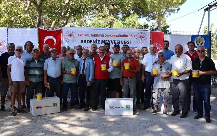 Aydınlı üreticilere Akdeniz Meyve Sineği Tuzağı dağıttı