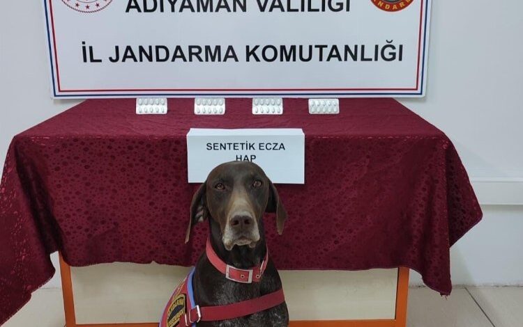 Adıyaman’da narkotiğin hassas burnu Leydi yakaladı! Adıyaman’da narkotiğin hassas burnu Leydi yakaladı!