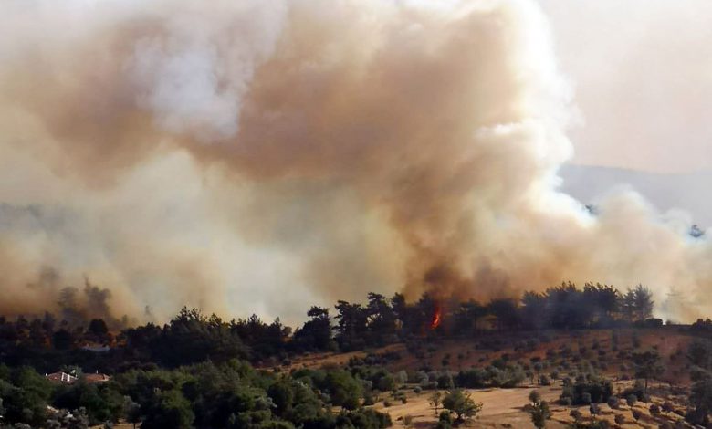 Bekir Pakdemirli’den orman yangını açıklaması
