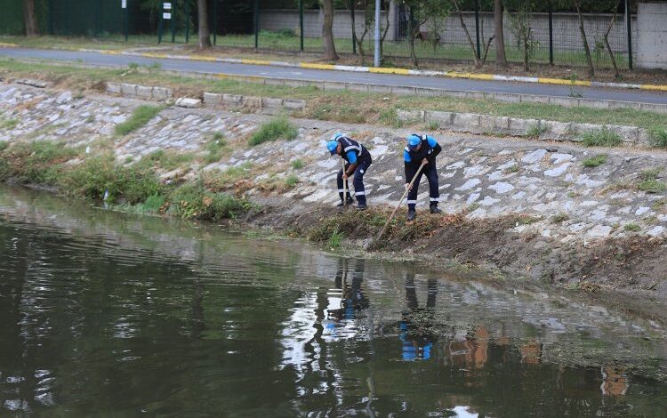 Sakarya Çark Deresi’nde rutin temizlik