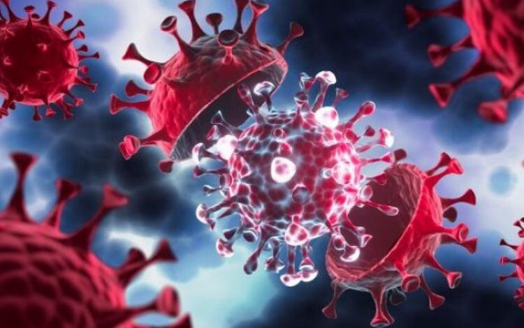 COVID-19’un Eris varyantı Avrupa’da yayılıyor… Türkiye’de kış ayına dikkat! COVID-19’un Eris varyantı Avrupa’da yayılıyor… Türkiye’de kış ayına dikkat!