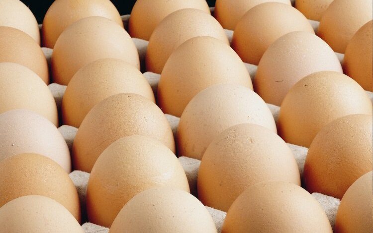 Yumurtacılardan ‘yasak’ isyanı