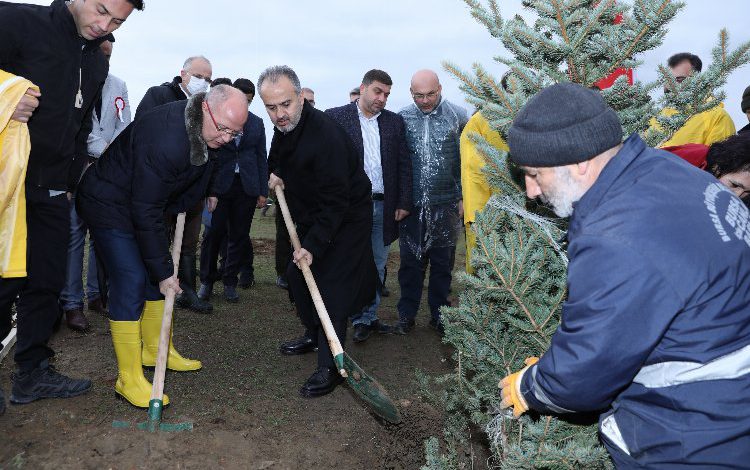Bursa’da 41 bin 901 fidan toprakla buluştu Bursa’da 41 bin 901 fidan toprakla buluştu
