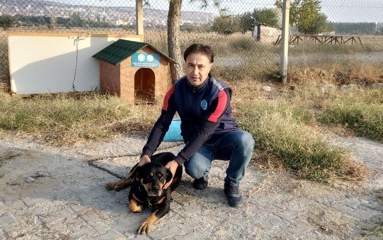 Manisa’da sokakta bir can daha yeni yuvasına kavuştu