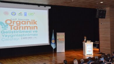 GAP illeri için ‘organik’ çalıştay