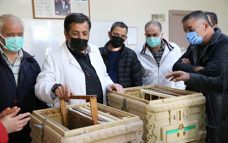 Kocaeli KO-MEK’te arıcılık ilgisi