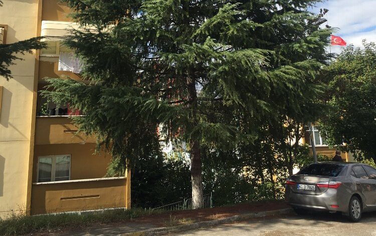 İzmit’te tehlikeli ağaçlara müdahale ediliyor İzmit’te tehlikeli ağaçlara müdahale ediliyor