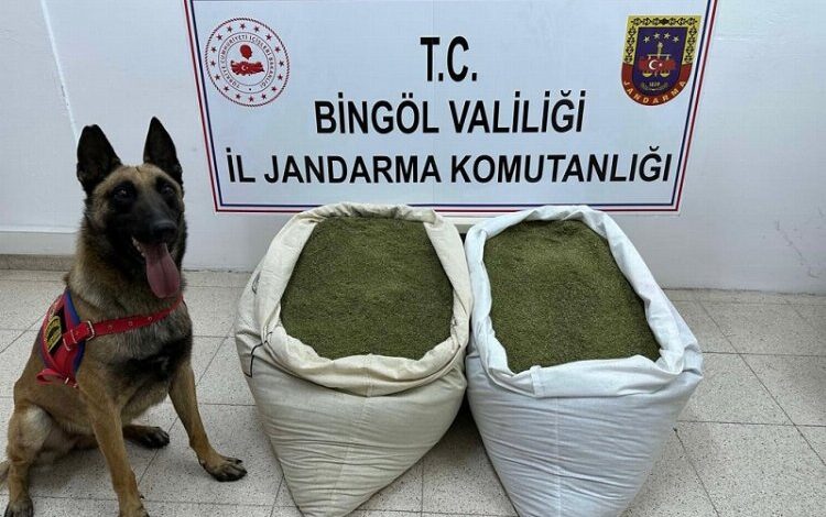Bingöl’de uyuşturucu operasyonu Bingöl’de uyuşturucu operasyonu