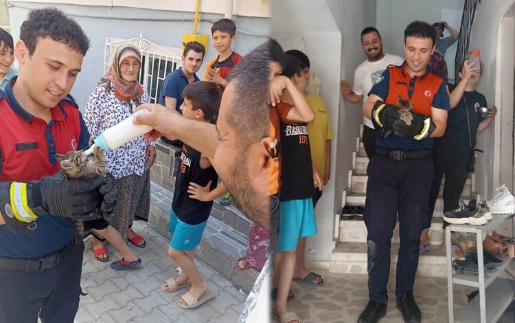 Kedi ve baykuş operasyonu! Kedi ve baykuş operasyonu!