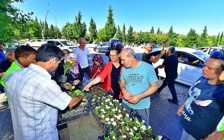 Büyükşehir’den mezarlıklarda çiçek sürprizi Büyükşehir’den mezarlıklarda çiçek sürprizi