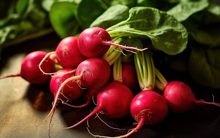 Kırmızı turpun faydaları saymakla bitmiyor!