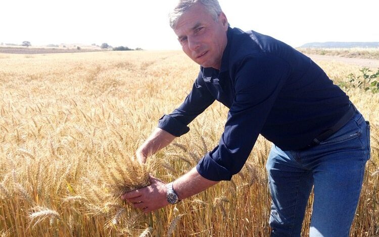Enez Ziraat Odası’ndan buğday fiyatı tepkisi Enez Ziraat Odası’ndan buğday fiyatı tepkisi