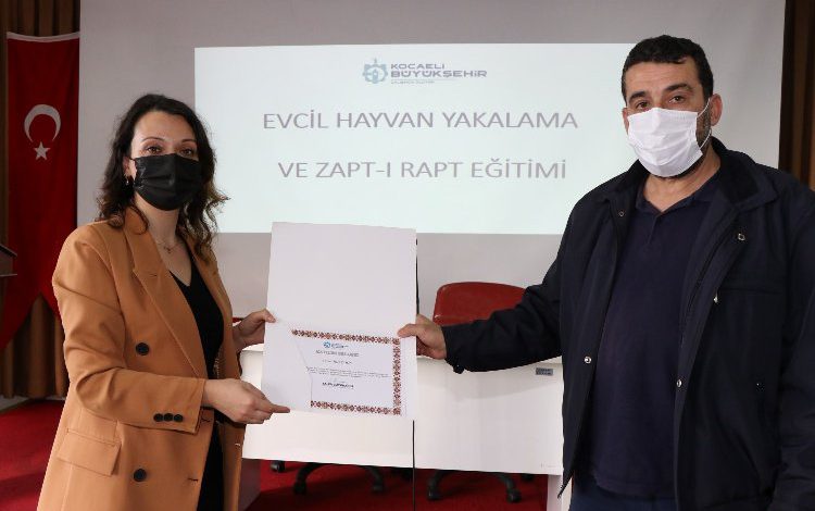 Kocaeli’nde sokak hayvanları için eğitim