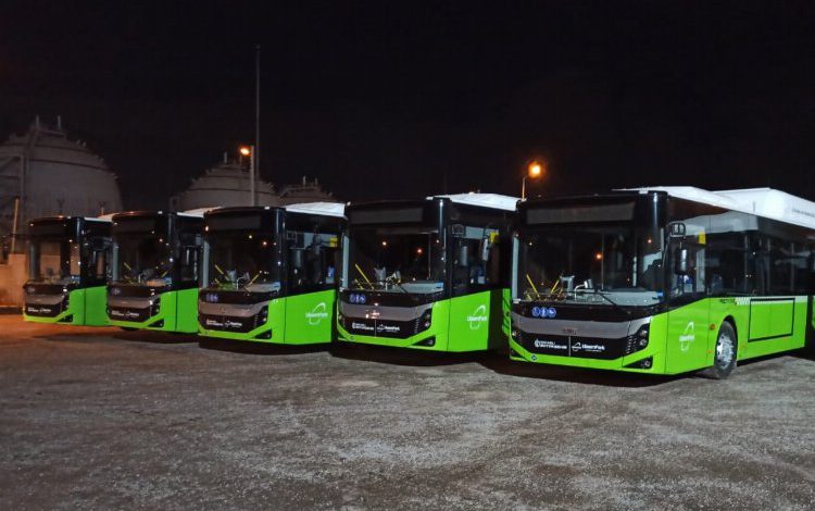 5 körüklü daha Kocaeli’de 5 körüklü daha Kocaeli’de