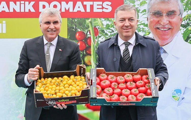 Sakarya serasından ‘mükemmel’ ürünler Sakarya serasından ‘mükemmel’ ürünler
