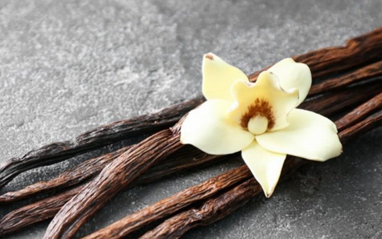 Türk markası vanilya 30 ülkeye ihraç ediliyor Türk markası vanilya 30 ülkeye ihraç ediliyor