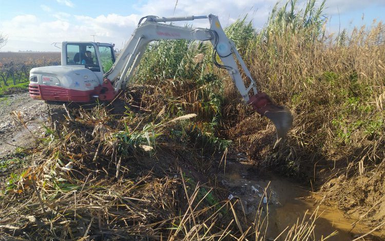 Manisa Yeniköy’de tarım arazileri koruma altında Manisa Yeniköy’de tarım arazileri koruma altında