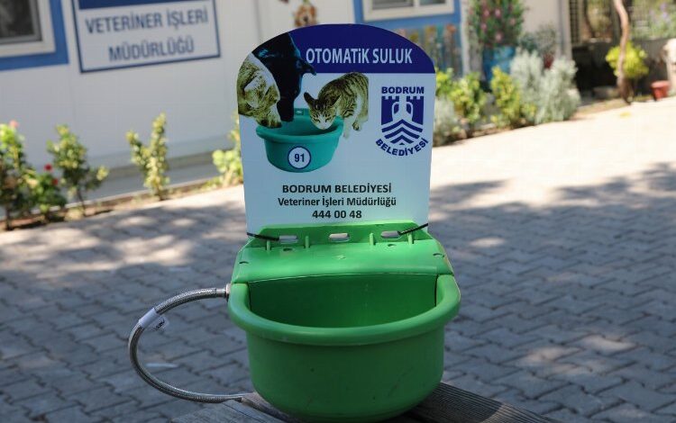 Bodrum’da sokak hayvanları için otomatik suluk