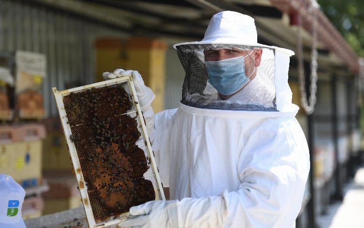 Balıkesir balları dünya sofralarında Balıkesir balları dünya sofralarında