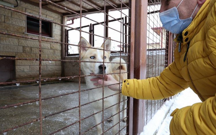 Kocaeli’nde Mahur Lady artık yeni yuvasında