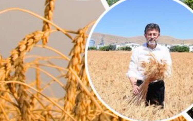 Üretici çiftçiye 11,2 milyar TL’lik destek Üretici çiftçiye 11,2 milyar TL’lik destek