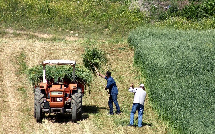 Bursa Mudanya’da çiftçilere ÇKS uyarısı