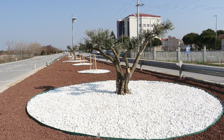 Manisa Akhisar’da 7 kilometrelik peyzaj çalışması