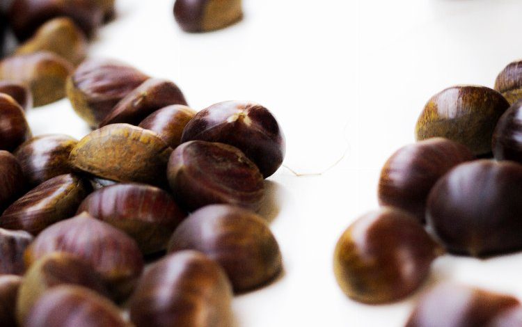 Egeli ihracatçılardan kestane ihracatında çifte mutluluk Egeli ihracatçılardan kestane ihracatında çifte mutluluk