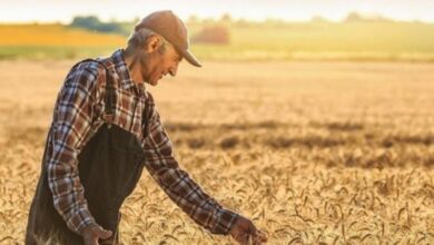 Tarımsal Girdi Fiyatları artışta!
