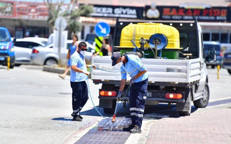Sivrisineğin nedeni küresel iklim krizi mi?