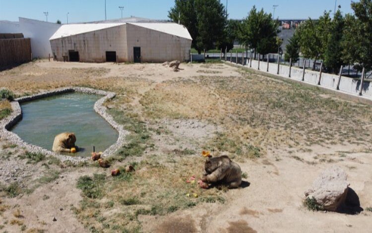 Anadolu Harikalar Diyarı’nda serinleten uygulama Anadolu Harikalar Diyarı’nda serinleten uygulama