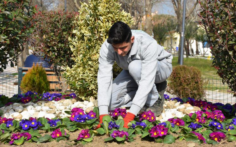 Balıkesir Edremit bahara erken girdi Balıkesir Edremit bahara erken girdi