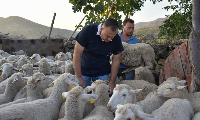 İzmir Aliağa Belediyesi’nden Manavgat’taki köylülere destek İzmir Aliağa Belediyesi’nden Manavgat’taki köylülere destek