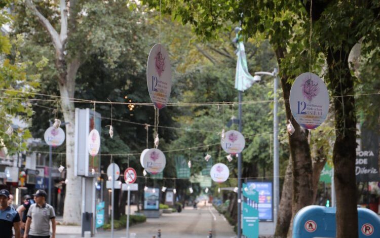 İzmit’te ağaçlar pişmaniye açtı